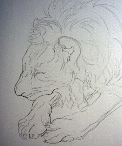 lionlinedrawing